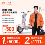 雅迪【王鹤棣推荐】摩登莱茵 电动自行车 女士复古高颜值通勤代步智能电动车【门店自提】 颜色到店自选