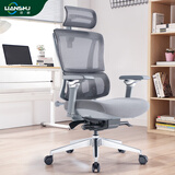 恋树（LIANSHU） L1电脑椅家用 人体工学椅子 办公椅可躺 老板椅 转椅 撑腰电竞椅 灰色凌云版(6D扶手)海绵版