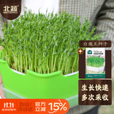 北蔬 芽苗菜种子豆芽菜无土栽培水培蔬菜种籽 白豌豆芽苗菜种子200g