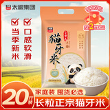 太粮猫牙米长粒米20斤 籼米南方一级大米 煲仔饭煮粥丝苗米2025年新米