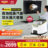 KARCHER德国卡赫 家用高温高压蒸汽清洁机厨房油烟机卫生间清洗机洗地机杀菌除螨一机多用SC4D