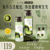 发之食谱冷萃茶柚去屑洗发水护发素水润蓬松洗护套装280ml+280g