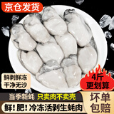 滋百尚冷冻生蚝肉 鲜活手剥牡蛎肉 海蛎子 火锅食材海鲜生鲜 冷冻大号生蚝肉 净重4斤