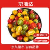 京地达山东寿光圣女果小番茄三色组合酸甜爽口净重2斤源头直发包邮