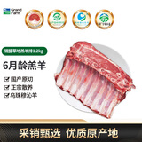 大庄园【草地羊】锡盟带骨羊排2.4斤 内蒙草饲羔羊肉 乌珠穆沁 源头直发