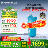 滨特尔（pentair）大白瓶前置过滤器 全屋家用自来水过滤器 前置净水器大蓝瓶 中央净水机大流量大胖瓶高精度 【10寸大蓝瓶】包安装