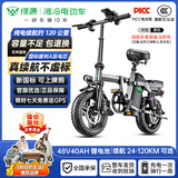 绿源【向往的生活推荐品牌】电动自行车新国标代驾折叠电动车超长续航铝合金锂电池助力电瓶车 航空高级版灰色-40A-纯电120公里