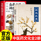 【京东正版】梅花医案正版 梅花医案 梅花医医案名老中医径 梅花医案升级版 【2册】梅花医案+自我中医调理大全