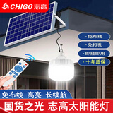志高（CHIGO）太阳能庭院灯泡户外露营灯室内照明吊灯摆摊LED挂灯球泡小夜灯 8000W规格10米线+遥控+照约300方