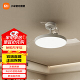 米家风扇灯吊扇灯隐形简约北欧餐厅卧室42英寸全光谱Ra97睡眠模式 米家风扇灯42英寸
