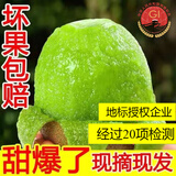 帆儿庄园现货绿心猕猴桃奇异果新鲜水果弥泥猴桃生鲜孕妇水果 【美味尝鲜】50-70g小果4.5斤