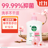 滴露（Dettol）洗手液滋润250g 儿童洗手液抑菌消毒宝宝 水润补充装尝鲜