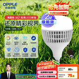 欧普（OPPLE）LED灯泡2级能效灯泡E27螺口商用摆摊大功率厂房工矿灯100瓦白光