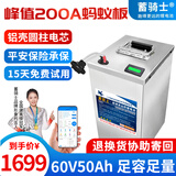 蓄骑士电动车锂电池外卖锂电池60v电瓶三轮三元锂磷酸铁锂电摩托车专用 铁锂60v50ah【蚂蚁板250a】配充