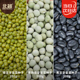 北蔬 水培蔬菜种子苗无土生长快绿豆青豌豆黑豆 3种芽苗菜种子各200g