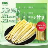鲜窝窝 小竹笋500g*5 火锅食材新鲜春笋尖野山笋脆嫩笋清水竹笋