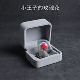 京东鲜花小王子的玫瑰花摆件玻璃罩创意生日礼物纪念日送女友老婆小众高级