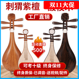 中原之声柳琴乐器  演奏考级柳琴 花梨木 鸡翅木 酸枝木柳琴 刺猬紫檀木琴 红木整体柳琴—演奏级