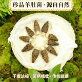 一级羊肚菌干货30克（3-5公分）山货菌菇类干货煲汤食材滋补养生 【尝鲜装】羊肚菌15克