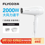 飞科（FLYCO）电吹风机家用发廊大功率2000W速干恒温便携可折叠白色FH6232