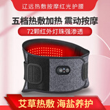 辽远【红光理疗】电加热护腰带腰间盘突出治疗仪腰肌劳损按摩器红外线 FN2004【红光理疗丨前后热敷丨支撑按摩】