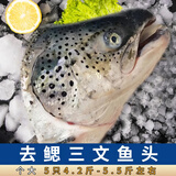 鲜随渔动三文鱼头去鳃冷冻多肉去鳃鱼头鱼骨边角料超大鱼头烧烤煲汤食材 去鳃鱼头 5只共 4.5斤