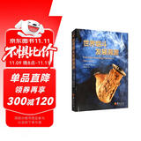 世界烟斗发展溯源