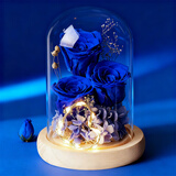 依雯然（Ivenran）生日礼物女士永生花束礼盒礼物女生伴手礼高级摆件情人节结婚订婚