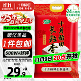 十月稻田 2025年新米 长粒香大米 10斤（东北大米 香米 5公斤/十斤）