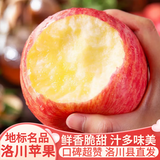 洛川苹果陕西延安特产红富士时令苹果水果礼盒送苹果生鲜新鲜脆甜整箱批发 5斤75-80mm（净重4.5斤）中果
