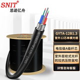 思诺亿舟（SNIT）SN-GYTA-12B1.3 电信级室外单模12芯光缆 铠装层绞式光钎光纤线 100米 