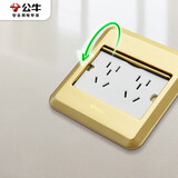 公牛（BULL）开关插座十孔地插座全金属面板金色二五孔地板地面插GD8Z256