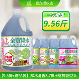 金寶（CAMPBELL）薄荷绿水客厅厨房浴室除菌去味柠檬玫瑰清香地板金宝钟全能清洁剂 金宝绿水3.78L+随机1L
