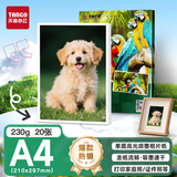 天章 （TANGO）A4相纸230g 单面高光相片纸 名片定制打印相片 彩色照片打印纸 a4喷墨证件照打印机照相纸 20张/包