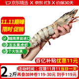 优牧冠越南进口特大号黑虎虾 草虾 冷冻大虾大号对虾夜宵烧烤食材 加大号 2.2斤(净重)  17-19cm