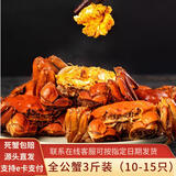 【活蟹】(网兜蟹)水淼鲜 洪湖大闸蟹足重鲜活螃蟹生鲜活水产年货 全公蟹3斤装（10-15只）