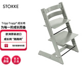 Stokke成长椅源自欧洲宝宝TT餐椅多功能儿童餐椅家用餐桌椅婴儿餐椅 【推荐】冰川绿单椅