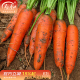 寿禾 天津沙窝萝卜种子秋冬季大全水果青罗卜季长白寿光蔬菜菜籽种孑 战将2号胡萝卜种子12g