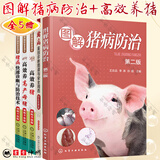套装5册 图解猪病防治+猪病鉴别诊断图谱与安全用药+猪病快速诊断与防治技术+高效养高产母猪+高效养猪 养猪技术大全 高效养殖致富直通车