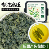 冬海红罗布麻茶150g原产新疆高降雨地区紧压嫩叶茶养生茶