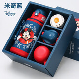 迪士尼（Disney）保温杯儿童水杯水壶学生316L不锈钢吸管直饮杯套礼盒幼儿园650m