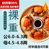 【活蟹】湖鲜阳澄大闸蟹公6.0-6.3两 母4.5-4.8两4对8只现货超大蟹鲜活螃蟹源头直发