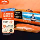 龙羊峡冰鲜国产青海三文鱼整条分切鱼柳礼盒5斤虹鳟生鲜鱼类源头直发