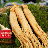 长白山人参酒浸保鲜人参6-10克3支装,约5年鲜人参泡酒材料泡酒煲汤保鲜参