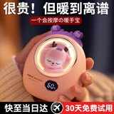 每束暖手宝女生充电式手握按摩暖宝宝可爱电热水袋神器生日礼物送女友 粉小鹿【暖手+按摩】双重享受