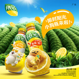 可口可乐 阳光 柠檬 茶饮料 500ml*12瓶 整箱整箱装