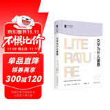 文学为什么重要