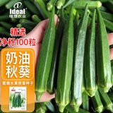 ldeal秋葵种子不易老水果绿秋葵阳台小院春秋四季播种农家蔬菜种籽
