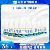 天润（terun）鲜牛奶 巴氏低温新疆纯牛奶全脂早餐鲜奶 烽火台牧场奶源210g/瓶 畅享装8瓶【值！80%选】