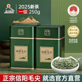 信阳毛尖绿茶2025新茶一级250g春茶带礼袋伴手送礼